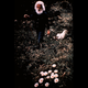 Image for article titled This awesome image may be found by aliens one day, floating in space